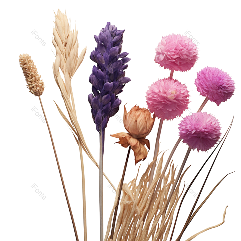 秋天图片,摄影元素,白色PNG,白色背景免抠素材